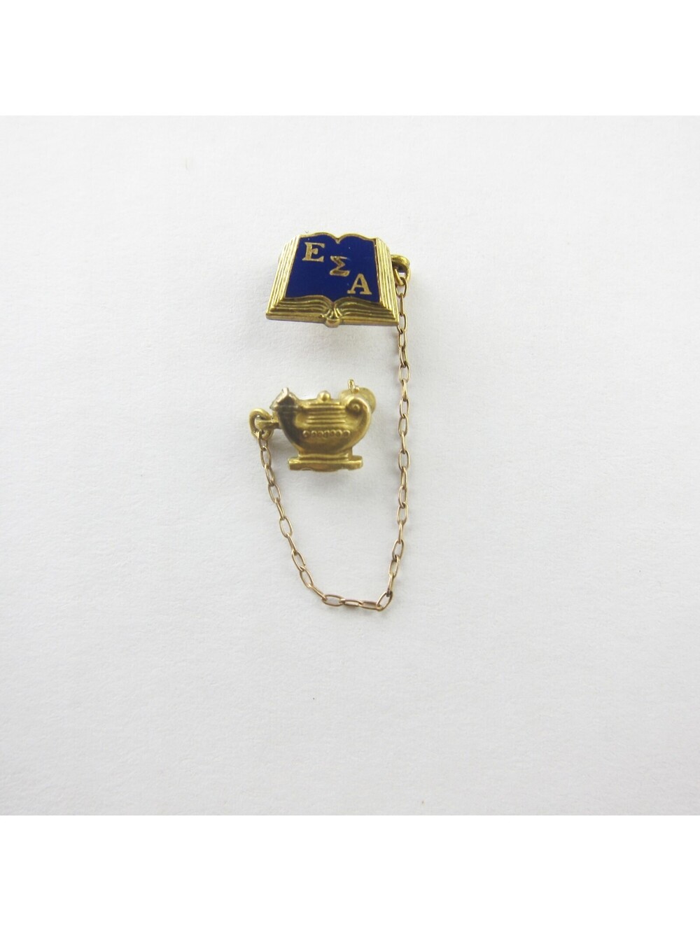 Epsilon Sigma Alpha Fraternity Badge Pin Letter Book & Lamp of Knowledge Vintage